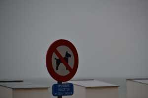 DE PANNE BELGIUM (17)